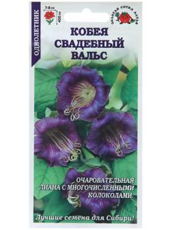 Семена цветов Кобея 