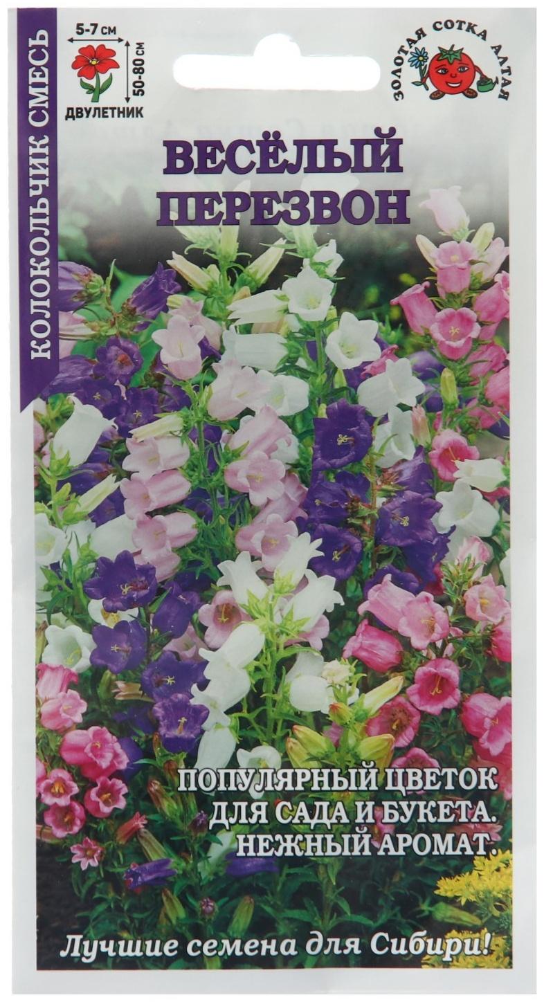 Семена цветов Колокольчик 