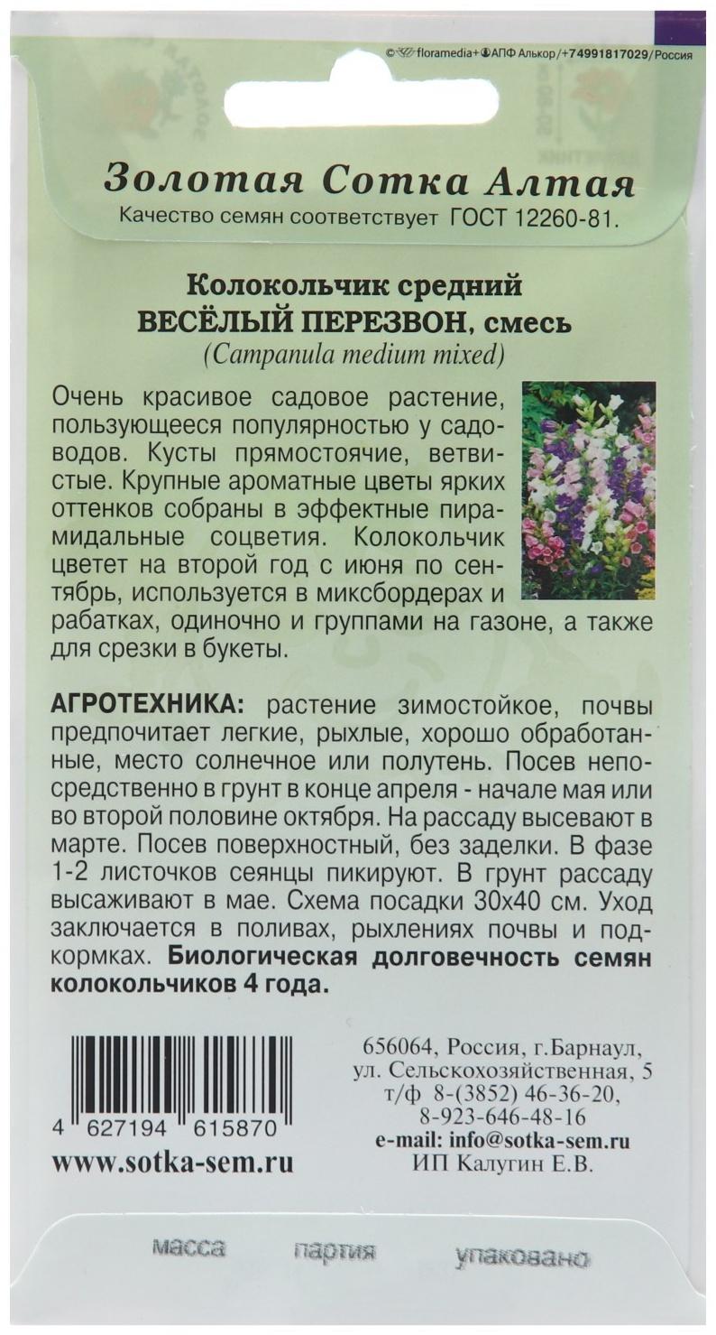 Семена цветов Колокольчик 