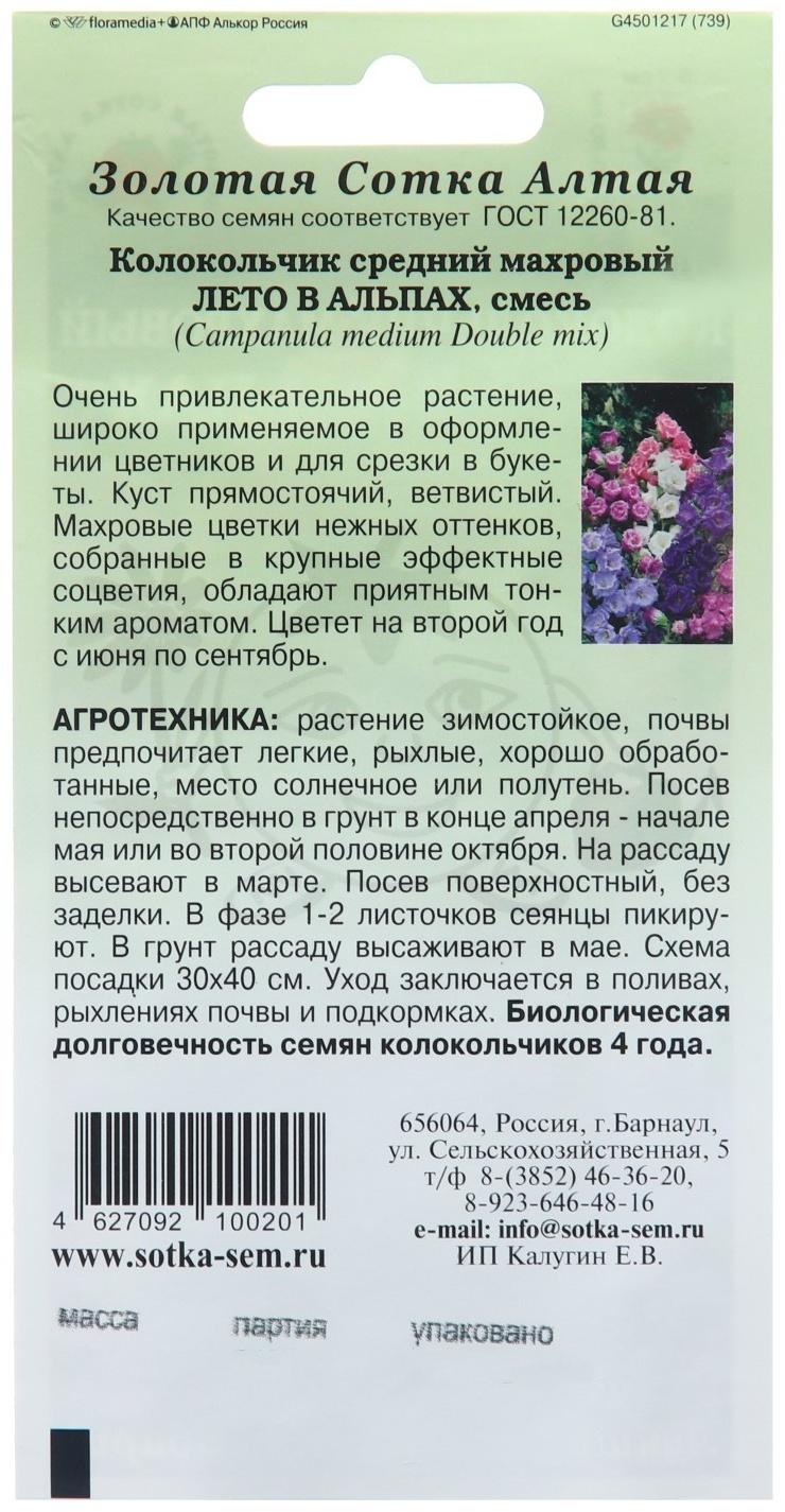 Семена цветов Колокольчик 