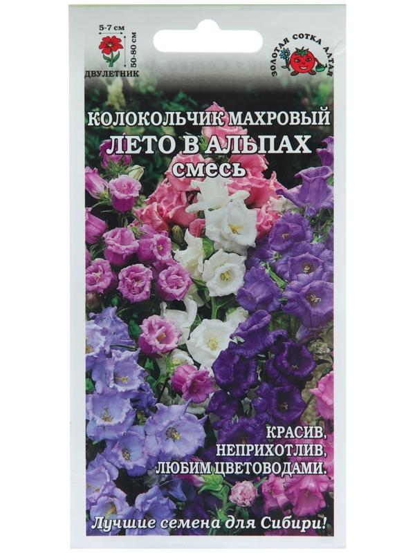 Семена цветов Колокольчик 