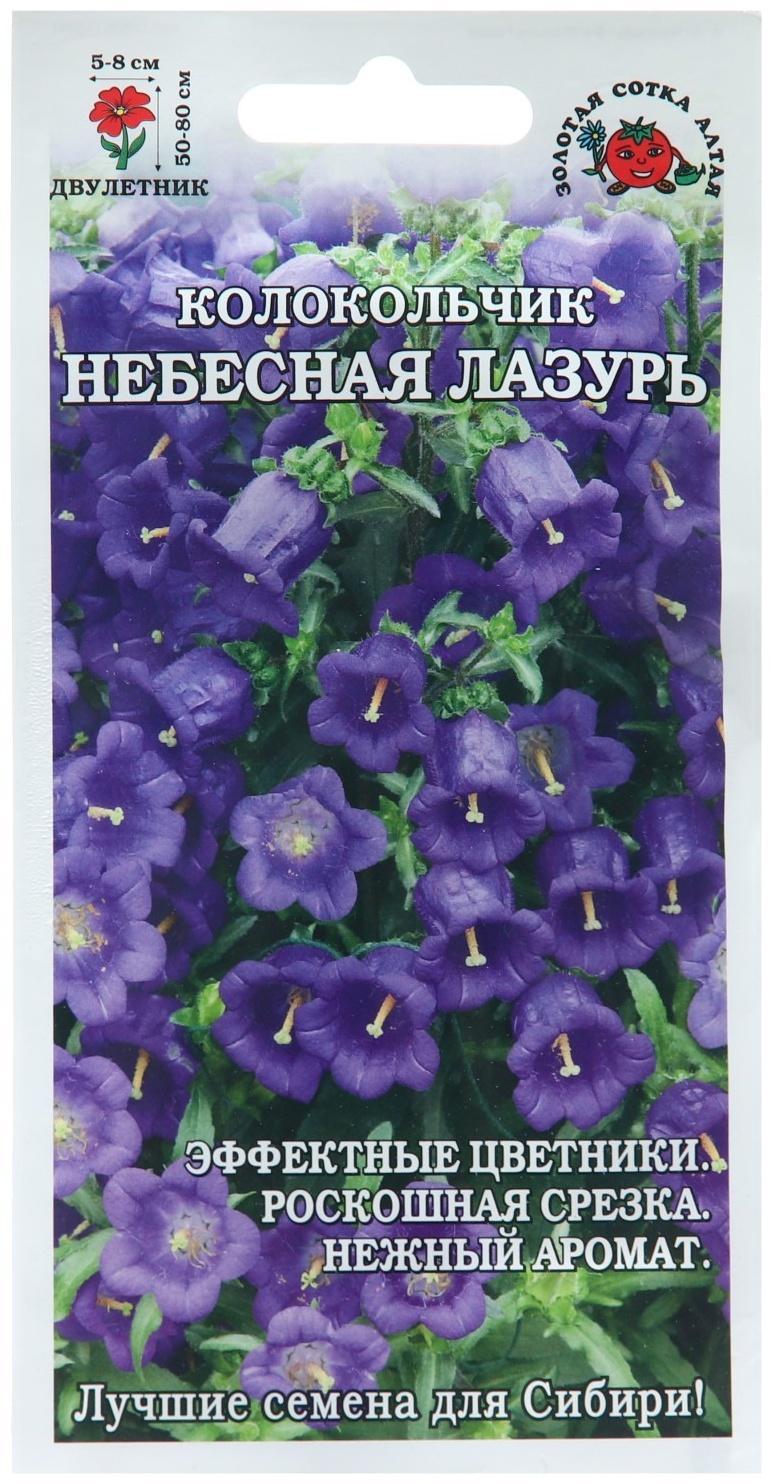 Семена цветов Колокольчик 