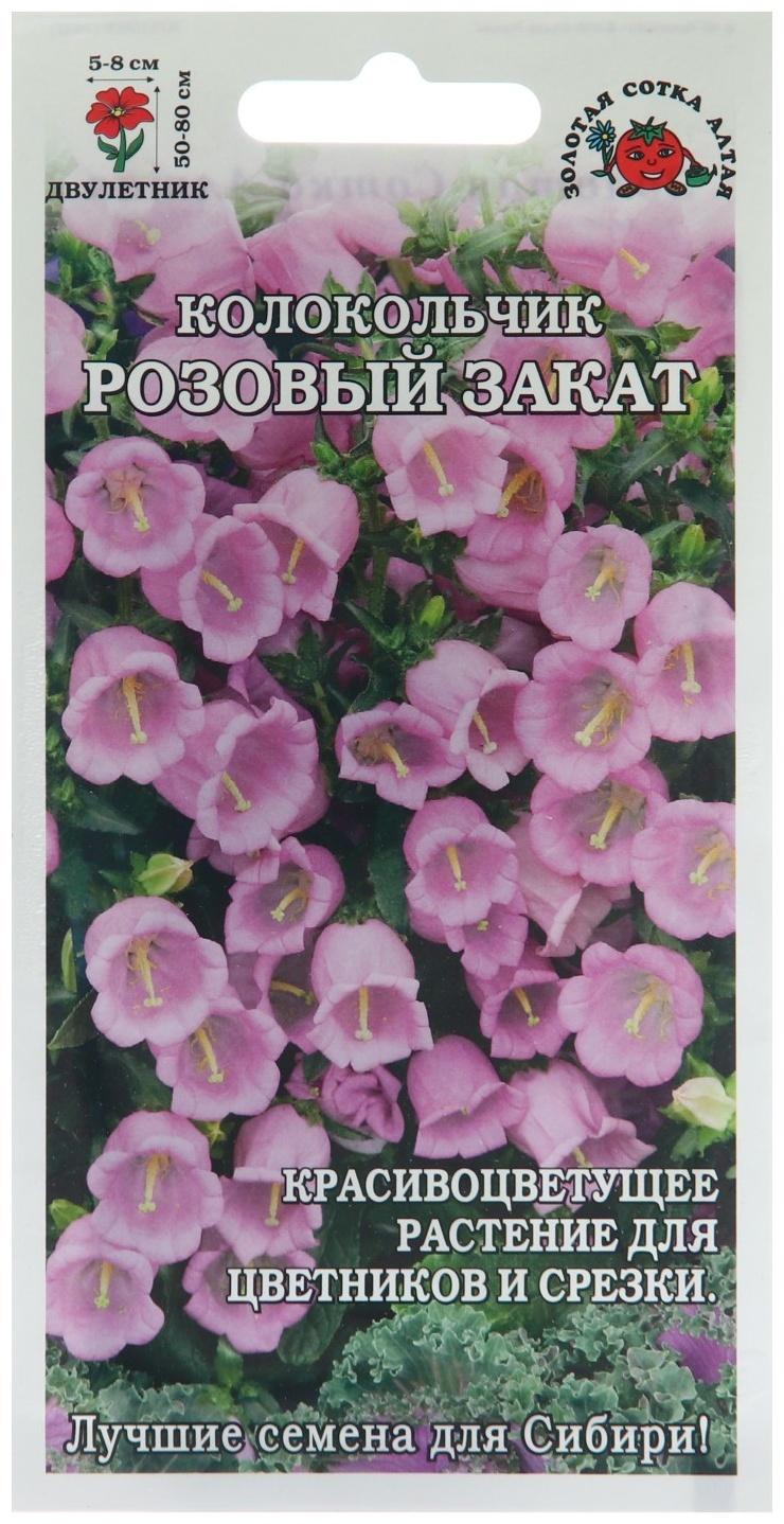 Семена цветов Колокольчик 