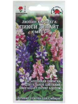Семена цветов Люпин Пикси 