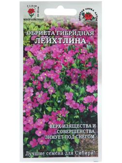 Семена цветов Обриета 