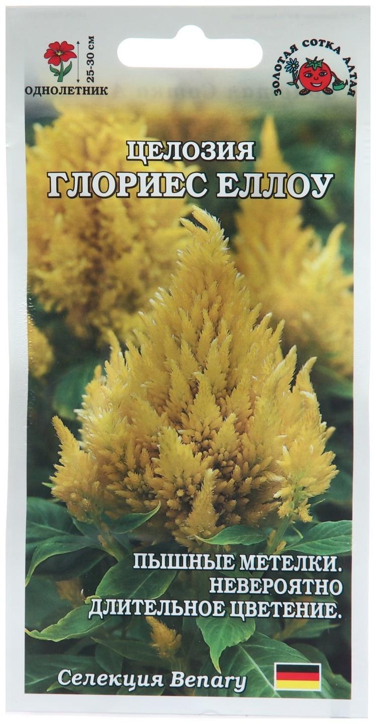 Семена цветов Целозия 