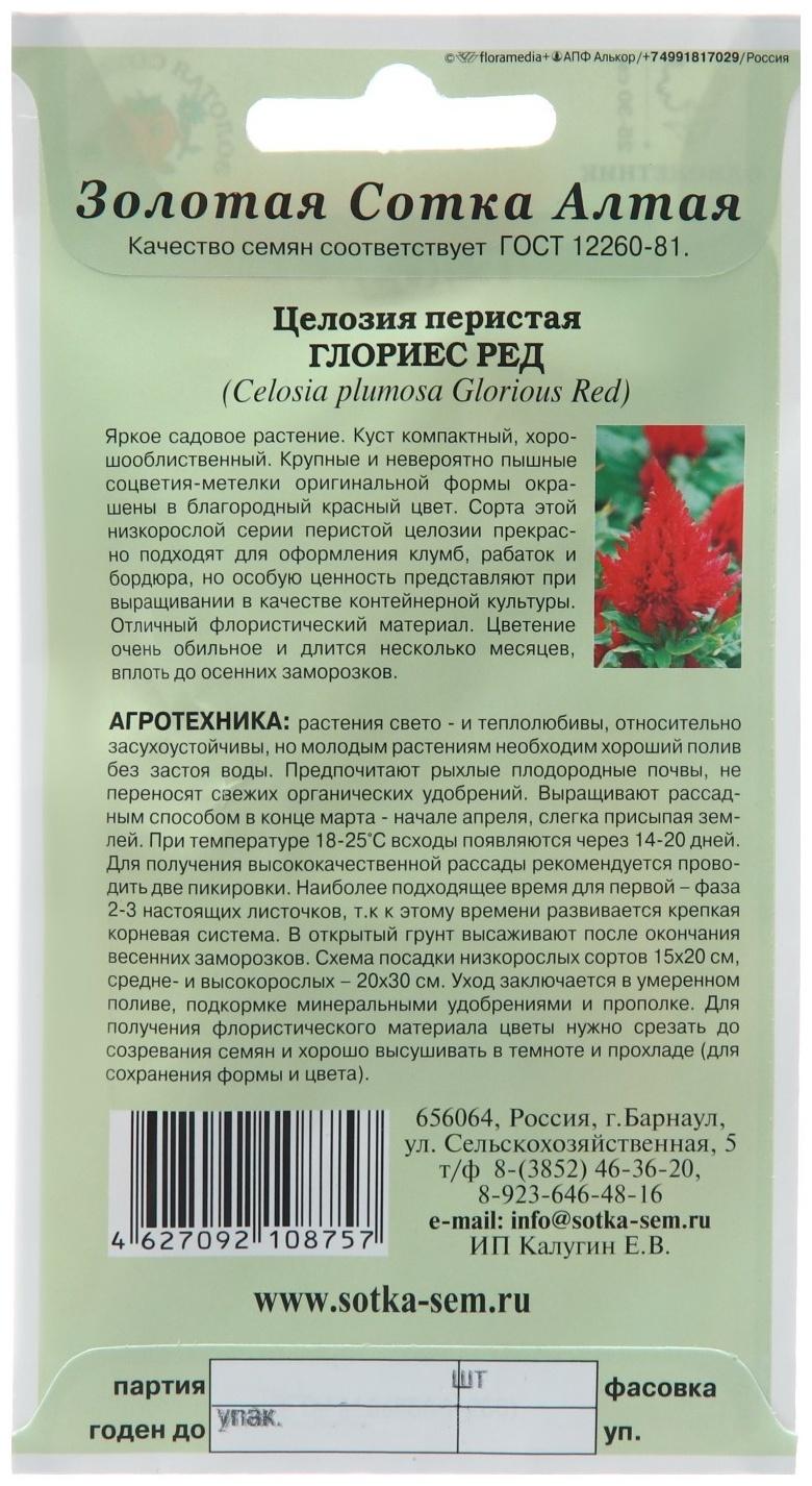 Семена цветов Целозия 