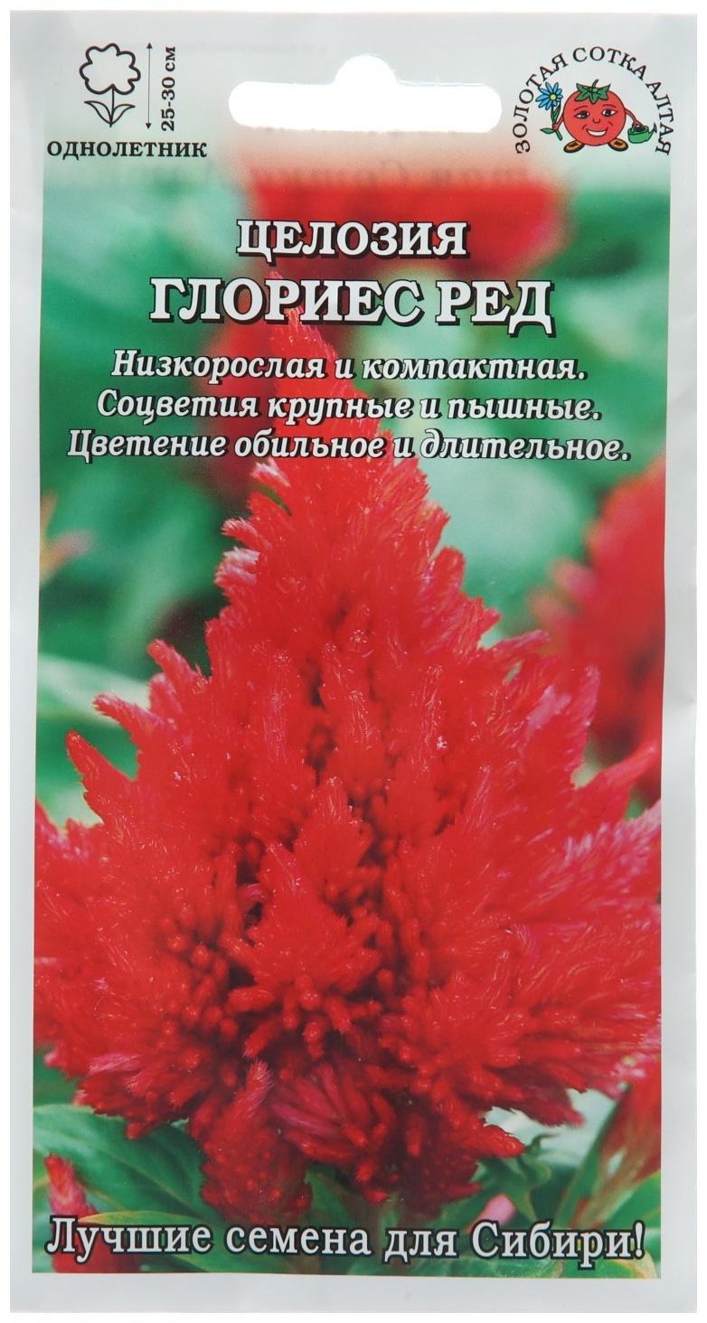 Семена цветов Целозия 