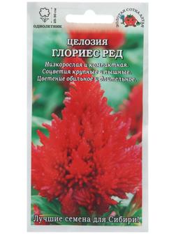 Семена цветов Целозия 