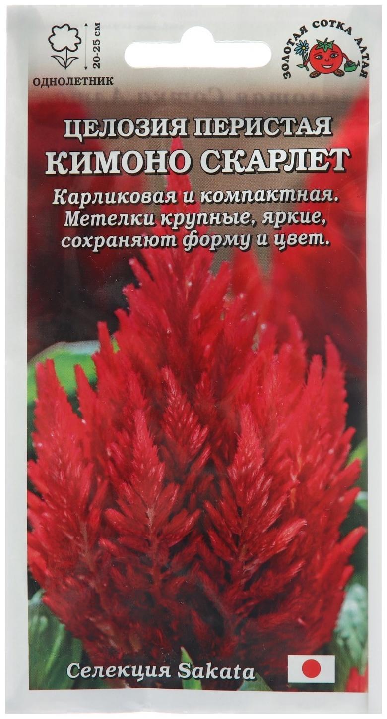 Семена цветов Целозия 