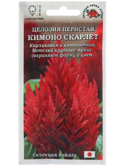 Семена цветов Целозия 