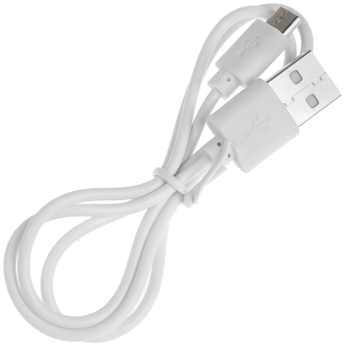 Блендер Luazon LBR-04, 40 Вт, 420 мл, портативный, АКБ, белый