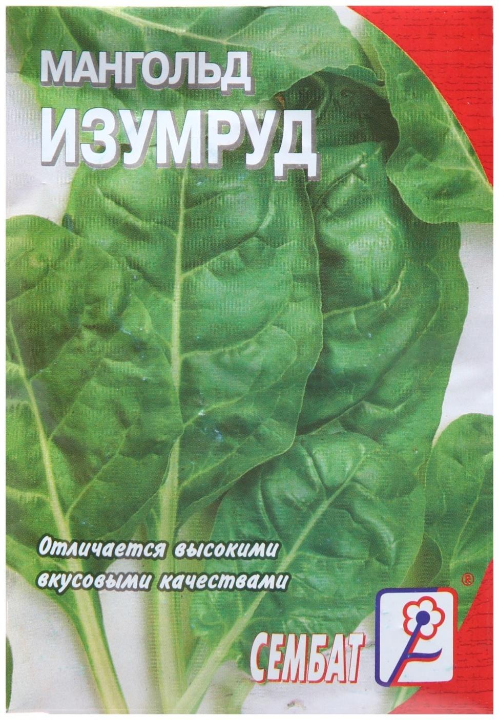 Семена Мангольд 