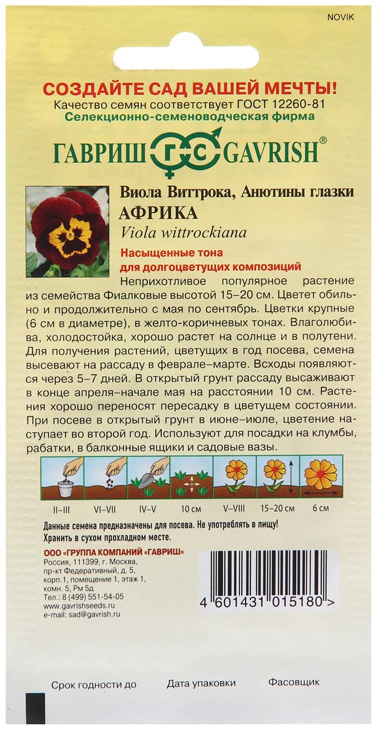 Семена Виола 