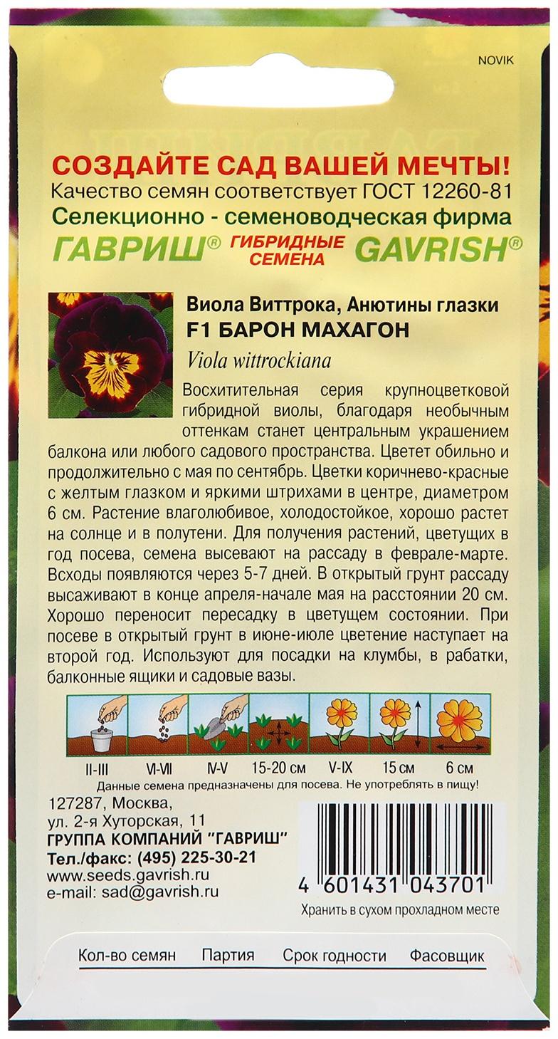 Семена Виола 