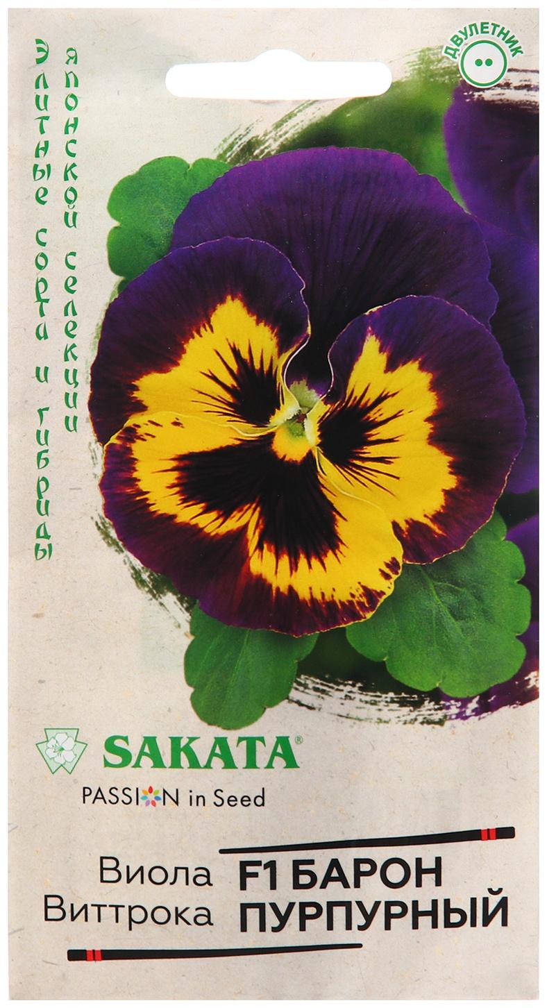 Семена Виола 