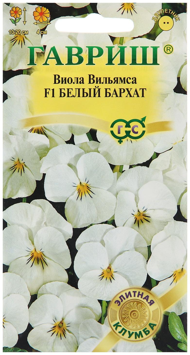 Семена Виола 