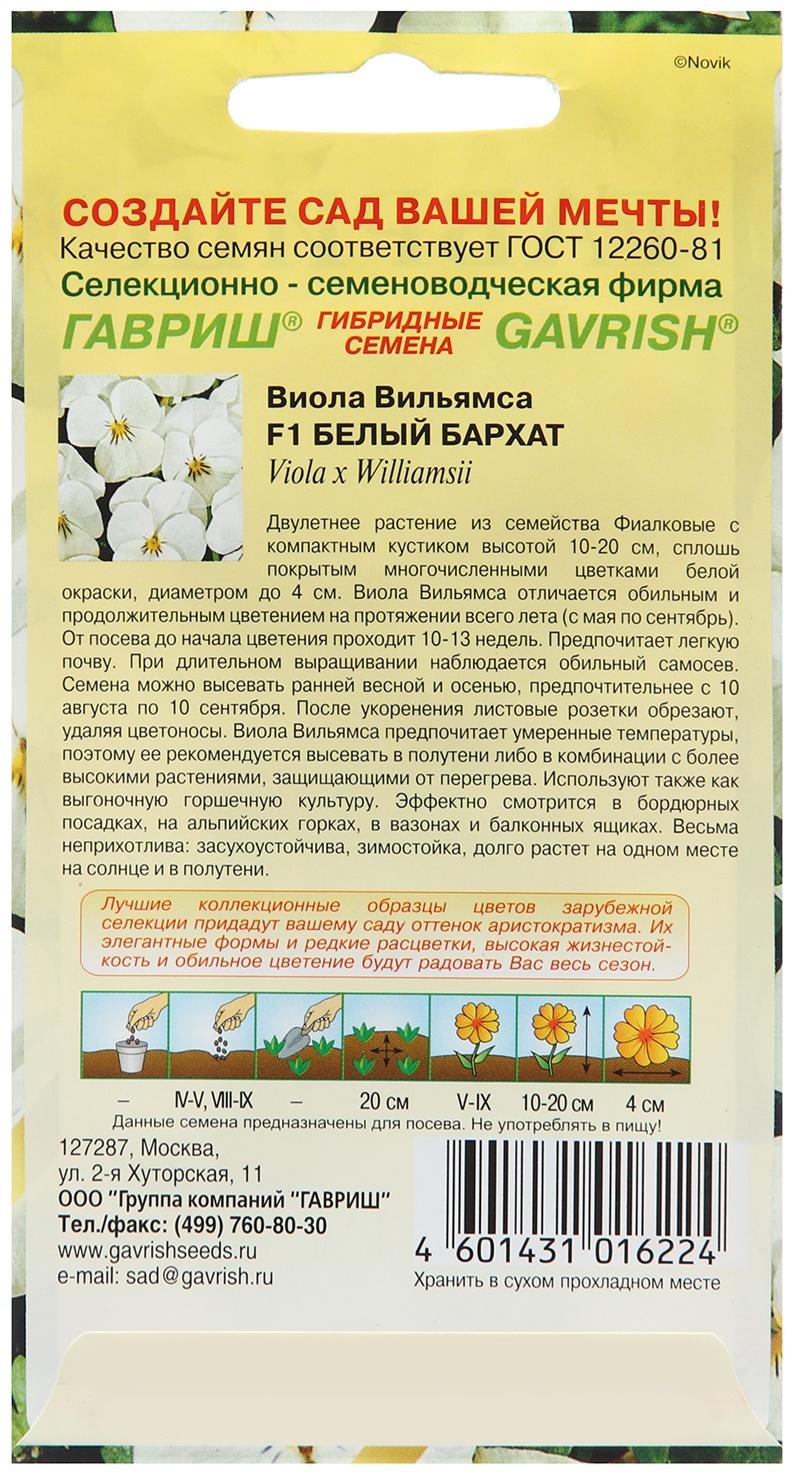 Семена Виола 