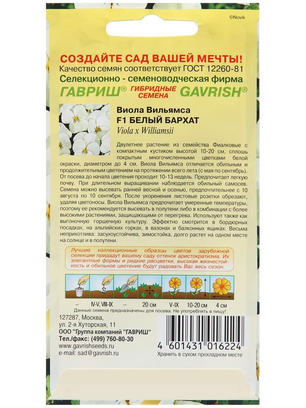 Семена Виола 