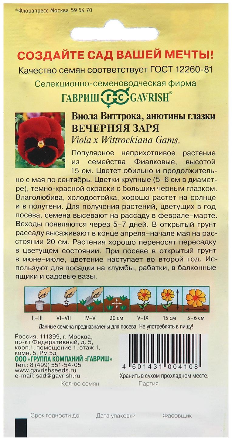 Семена Виола 