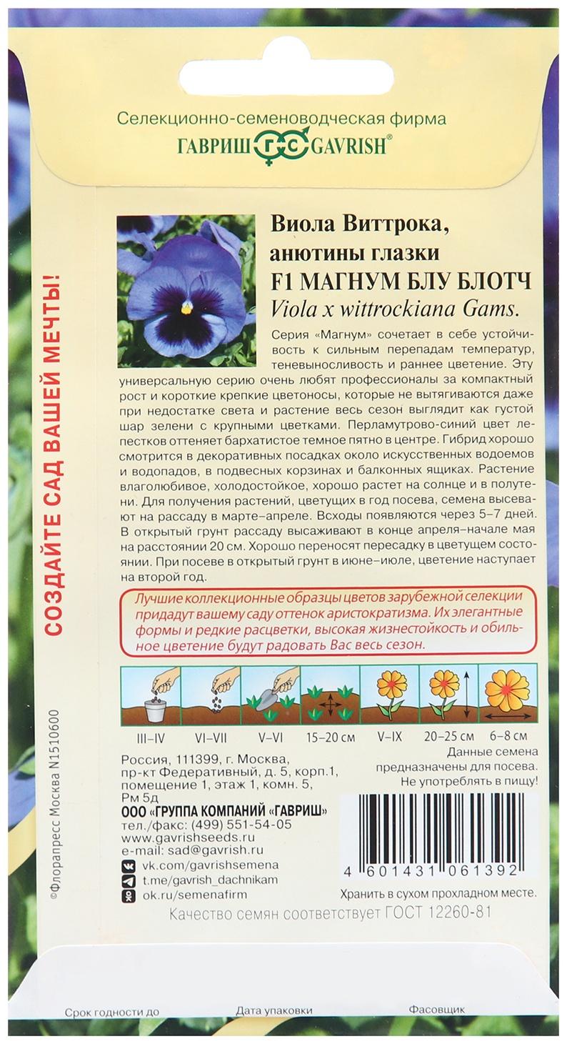 Семена Виола 