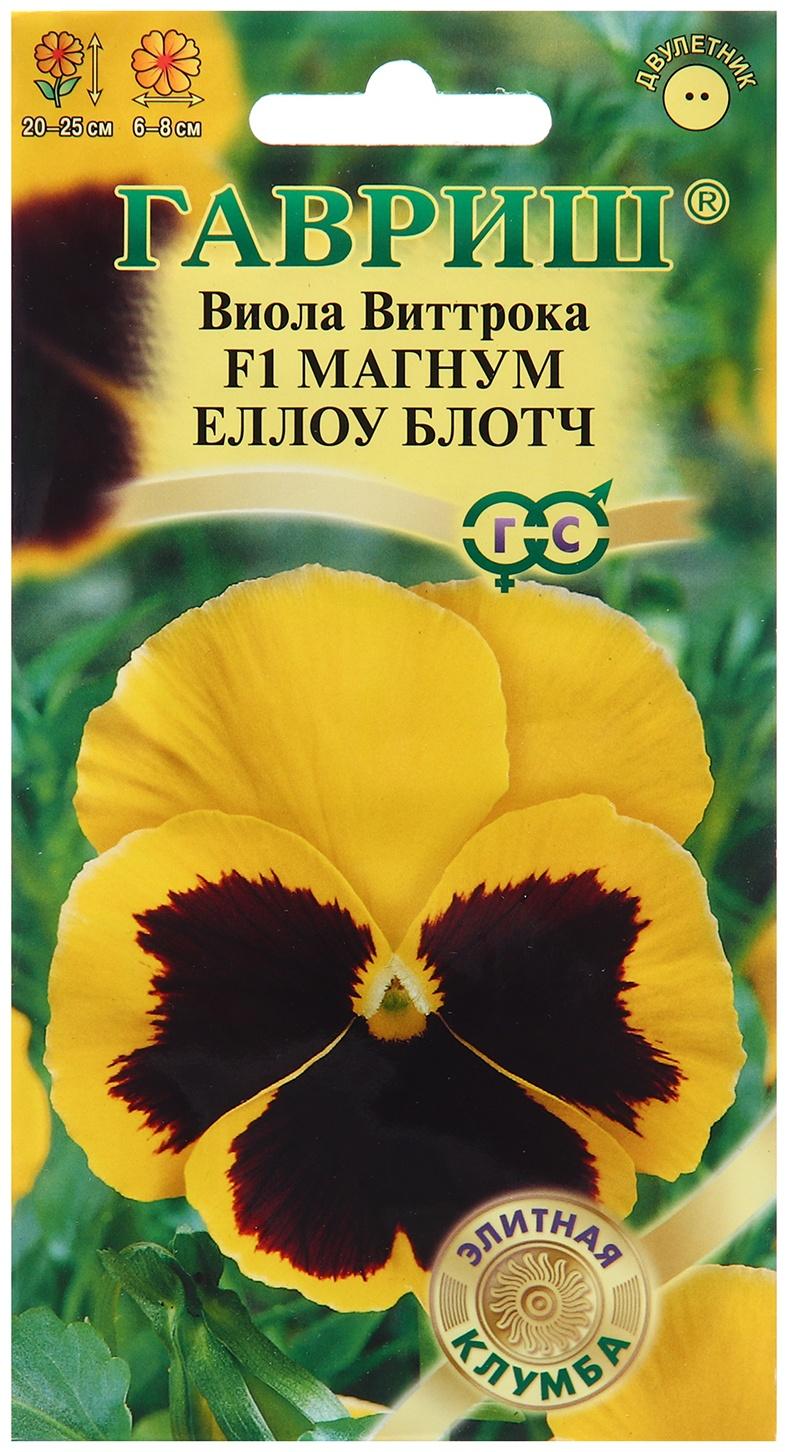 Семена Виола 