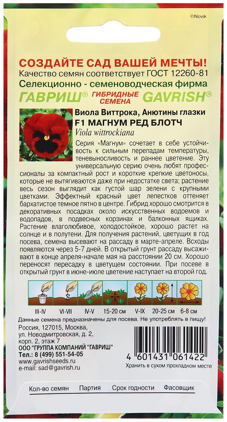 Семена Виола 