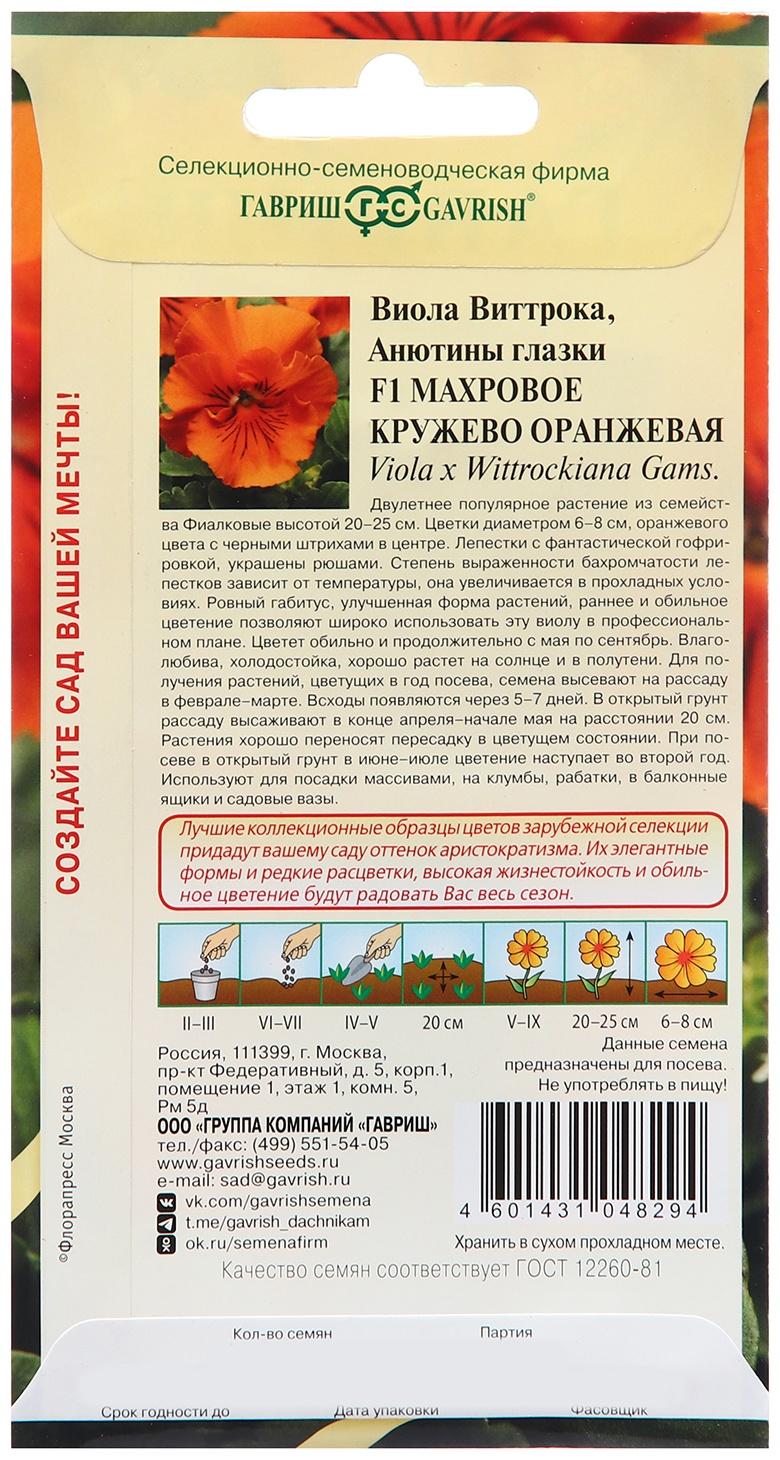 Семена Виола 