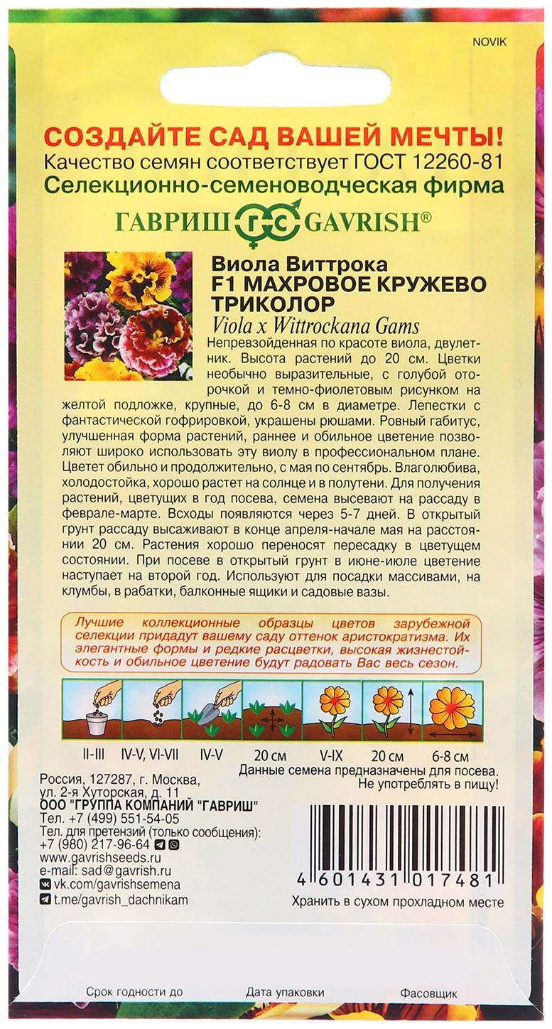 Семена Виола 