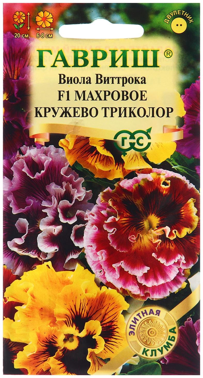 Семена Виола 