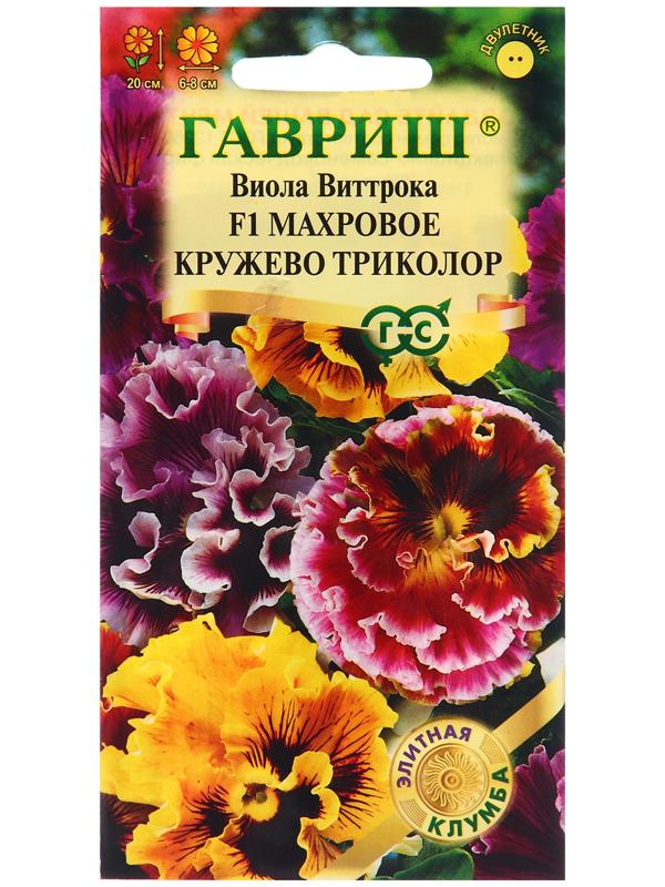 Семена Виола 