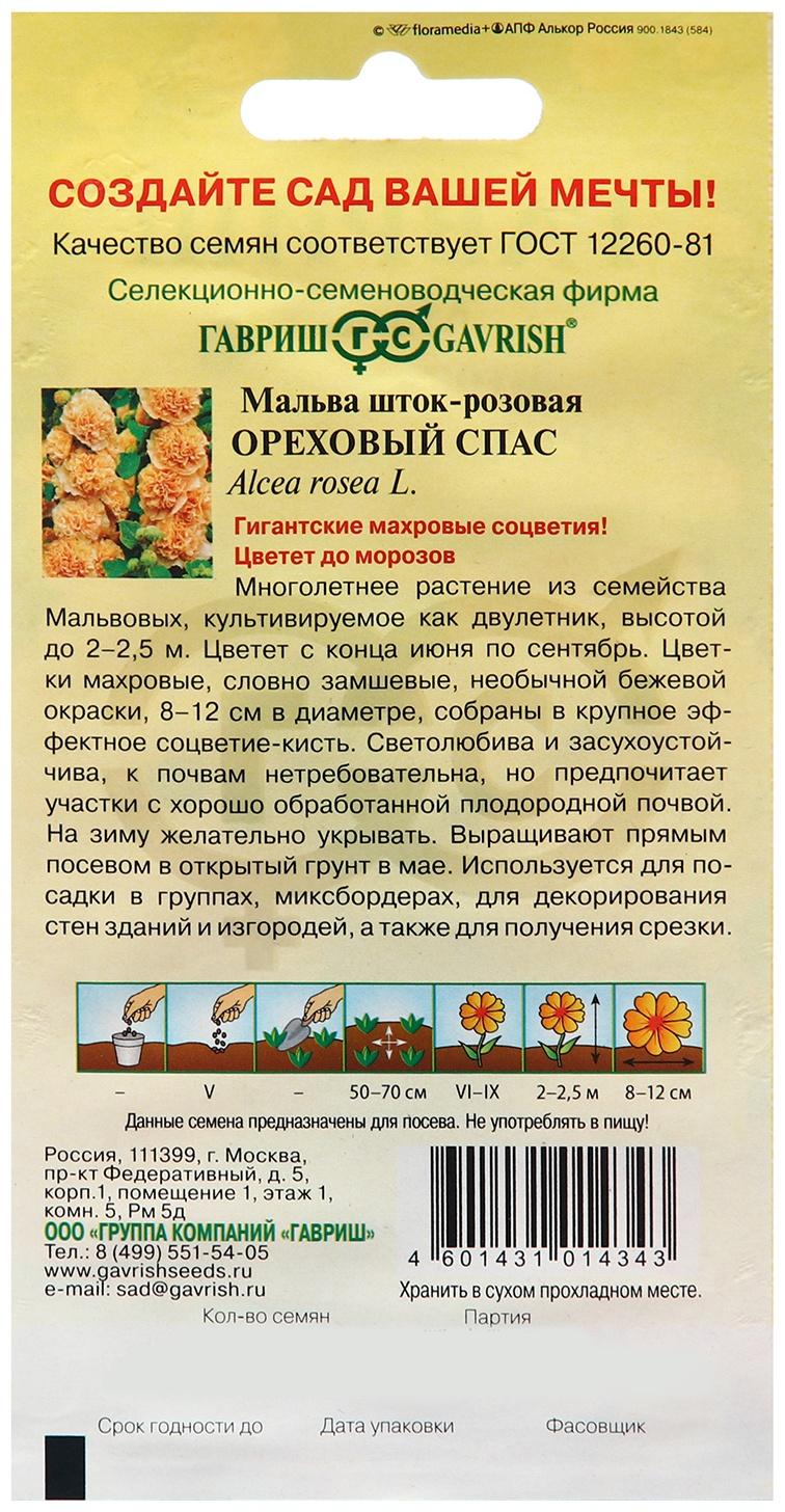 Семена Мальва 