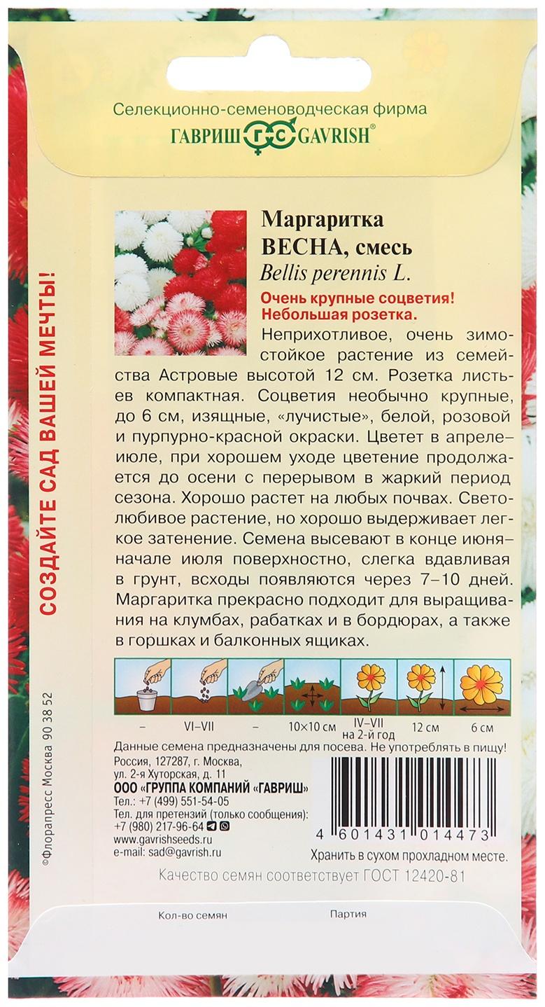 Семена Маргаритка 