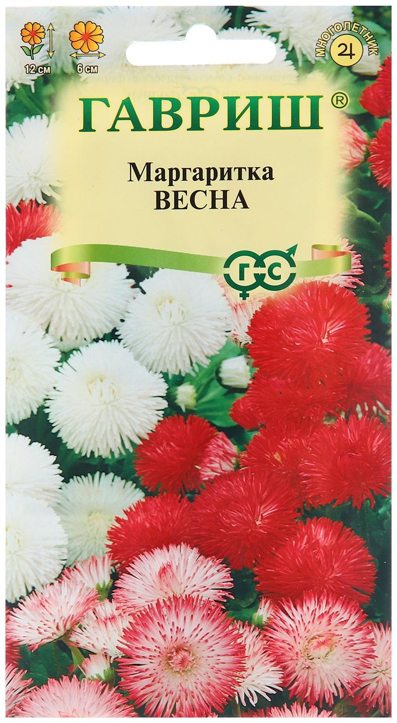 Семена Маргаритка 