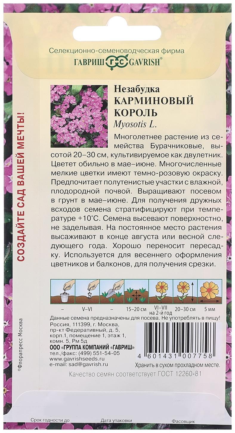 Семена Незабудка 