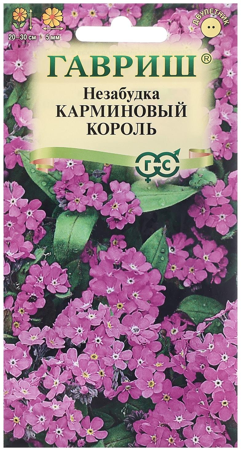 Семена Незабудка 