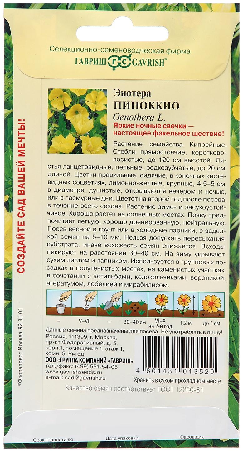 Семена Энотера 