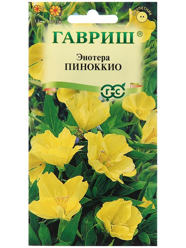 Семена Энотера 