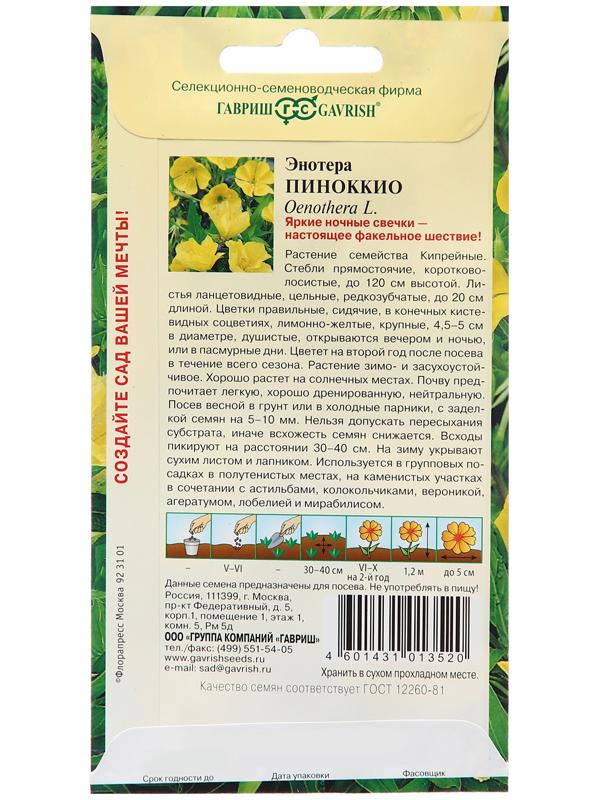 Семена Энотера 