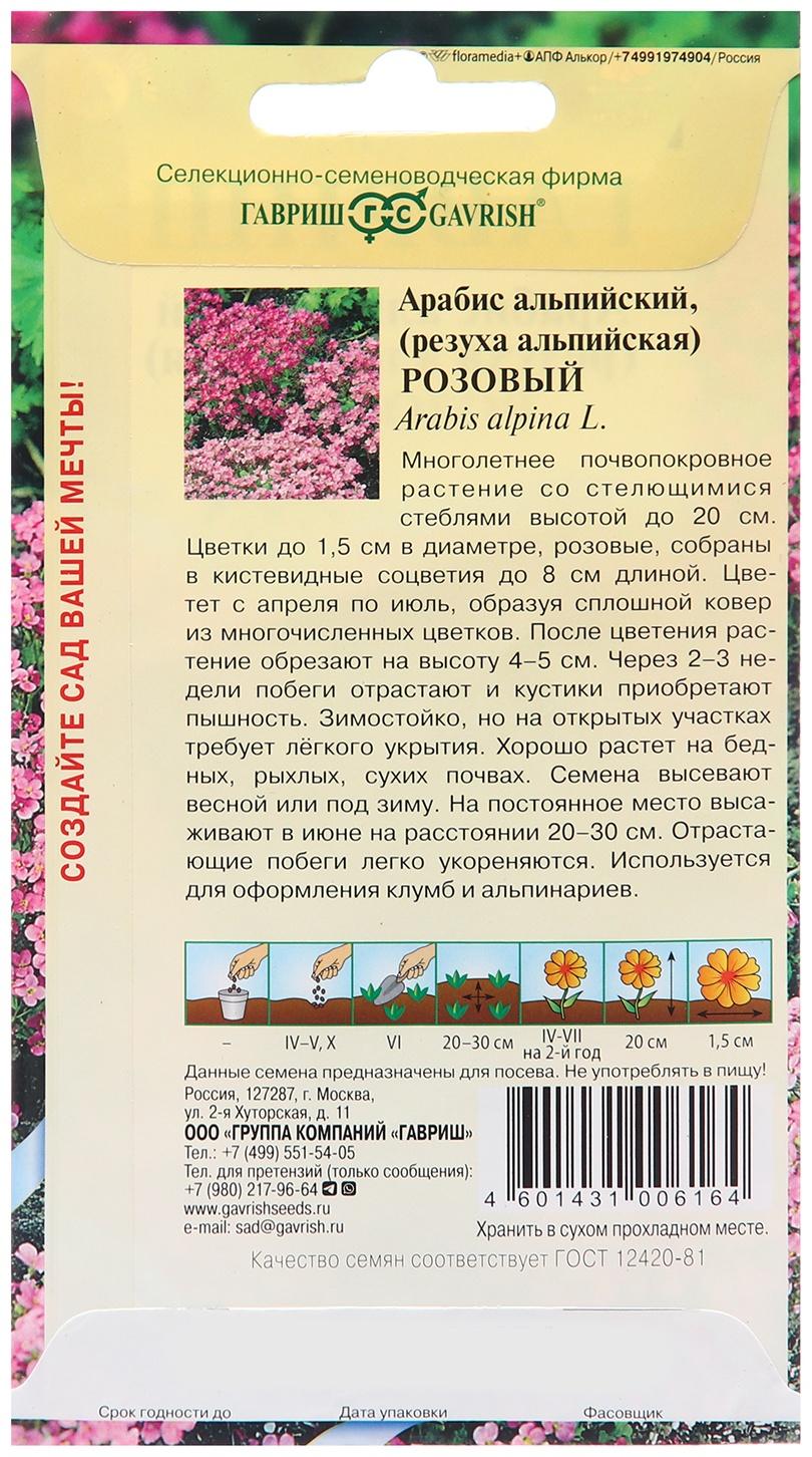 Семена Арабис альпийский 