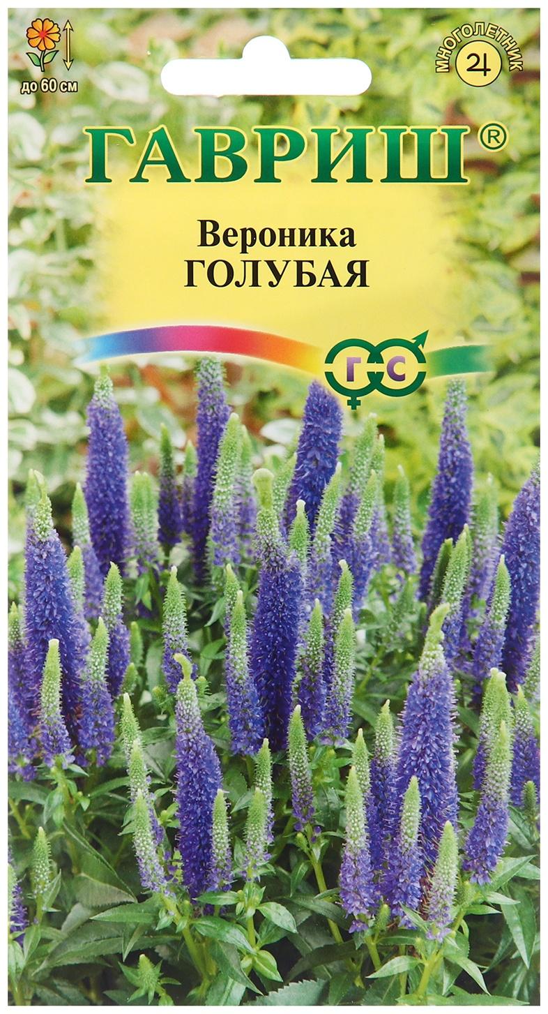 Семена Вероника 