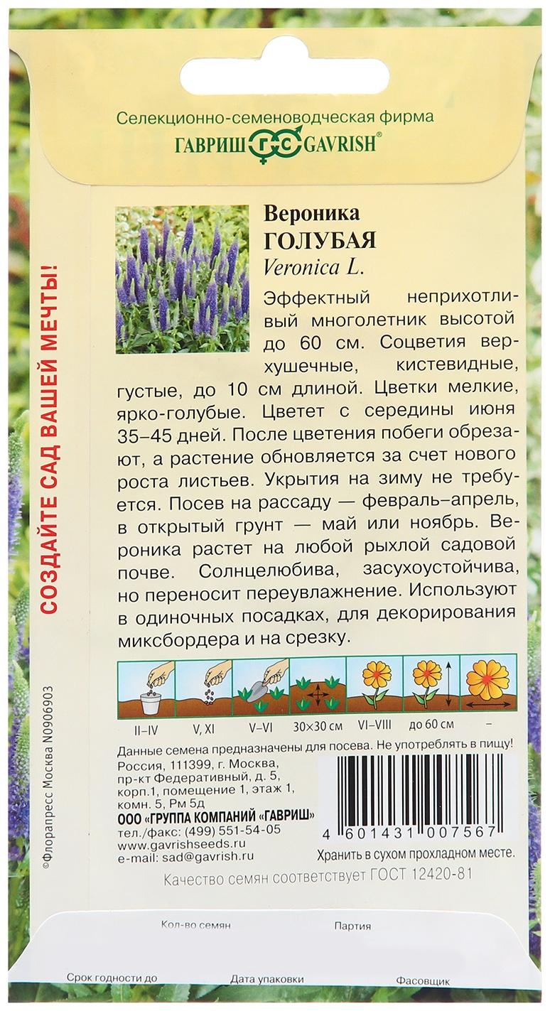 Семена Вероника 