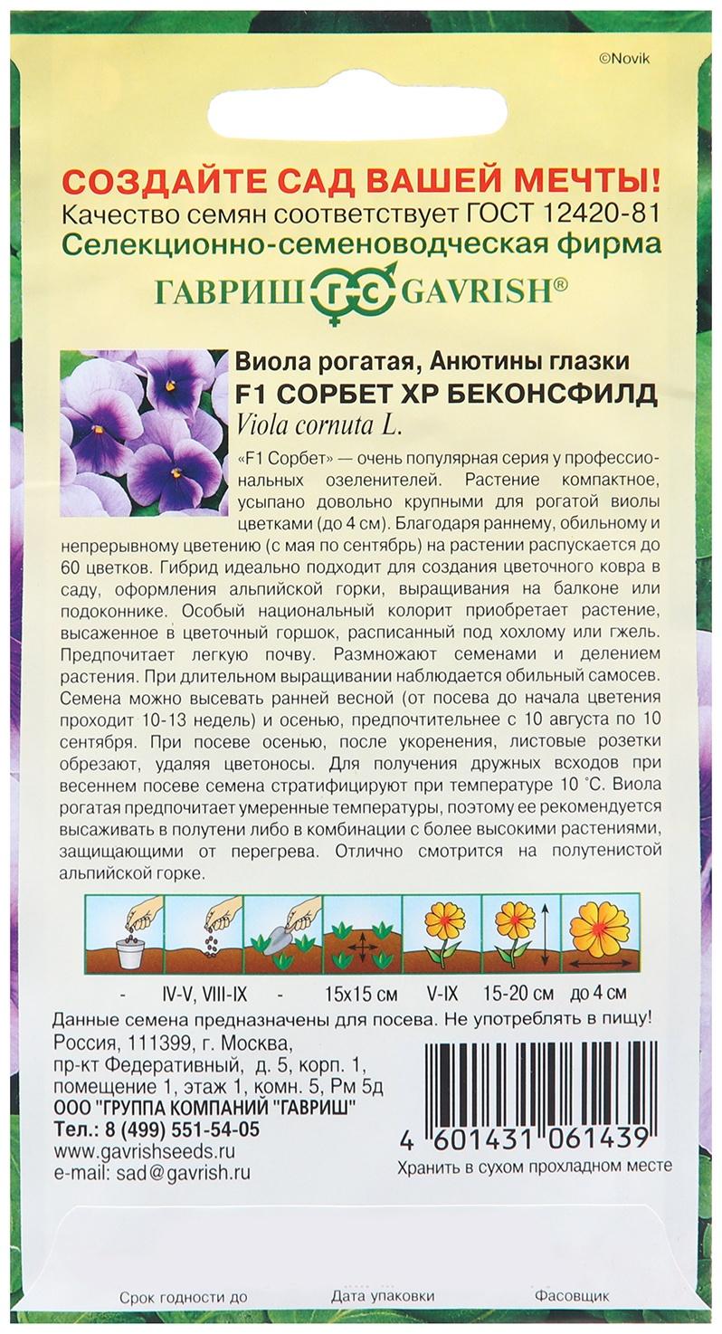 Семена Виола 