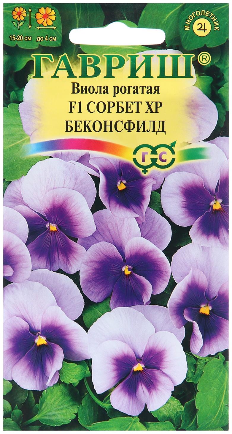 Семена Виола 