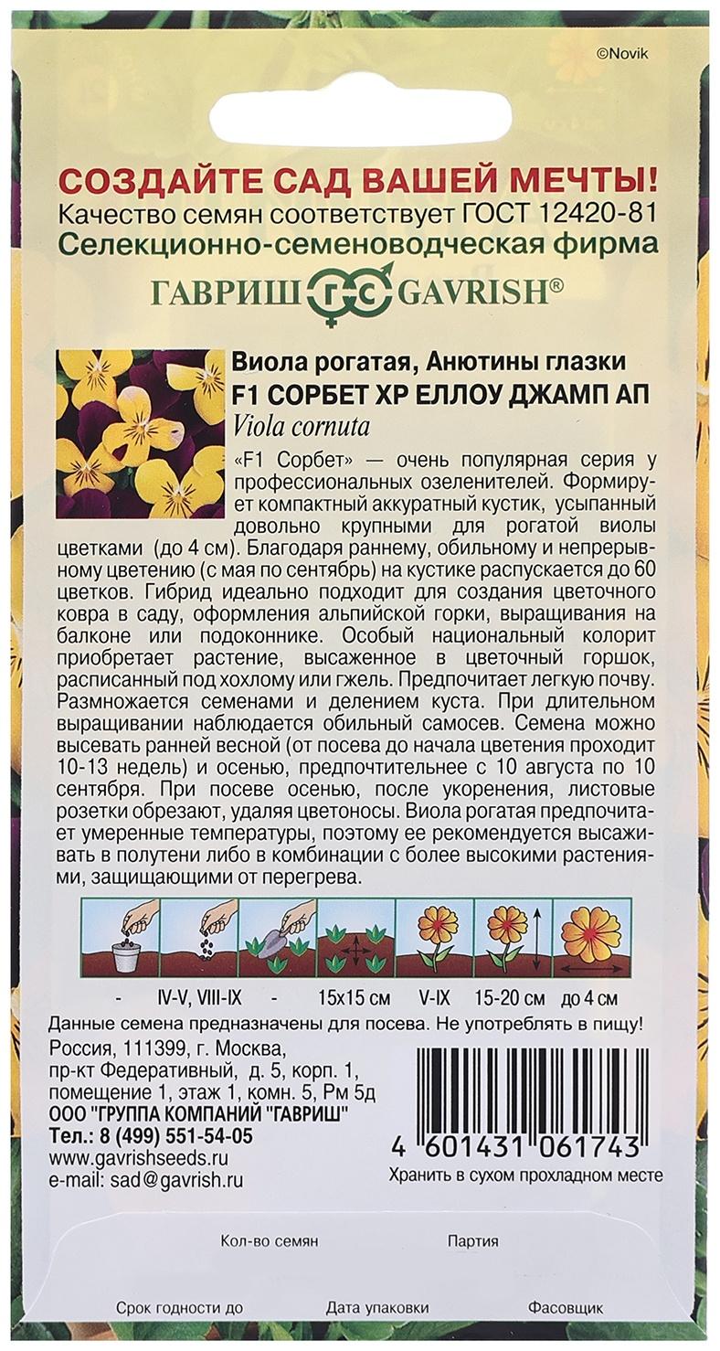 Семена Виола 