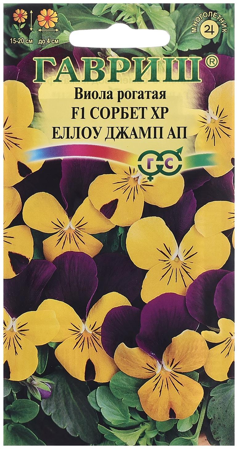 Семена Виола 