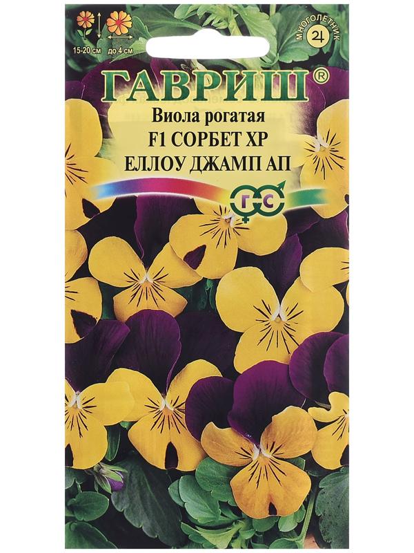 Семена Виола 