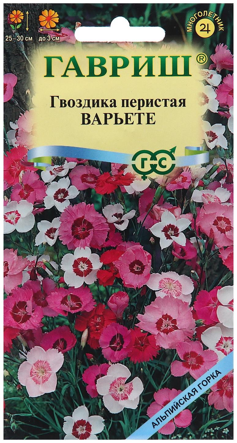 Семена Гвоздика 