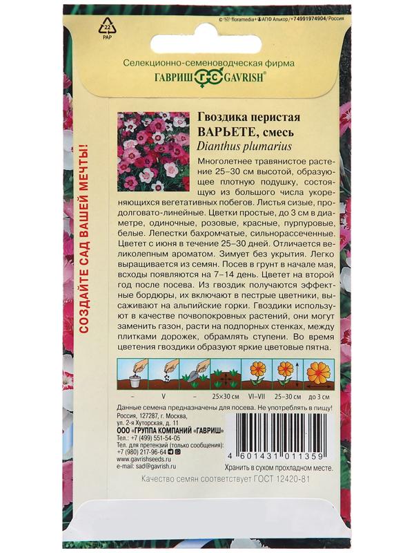 Семена Гвоздика 