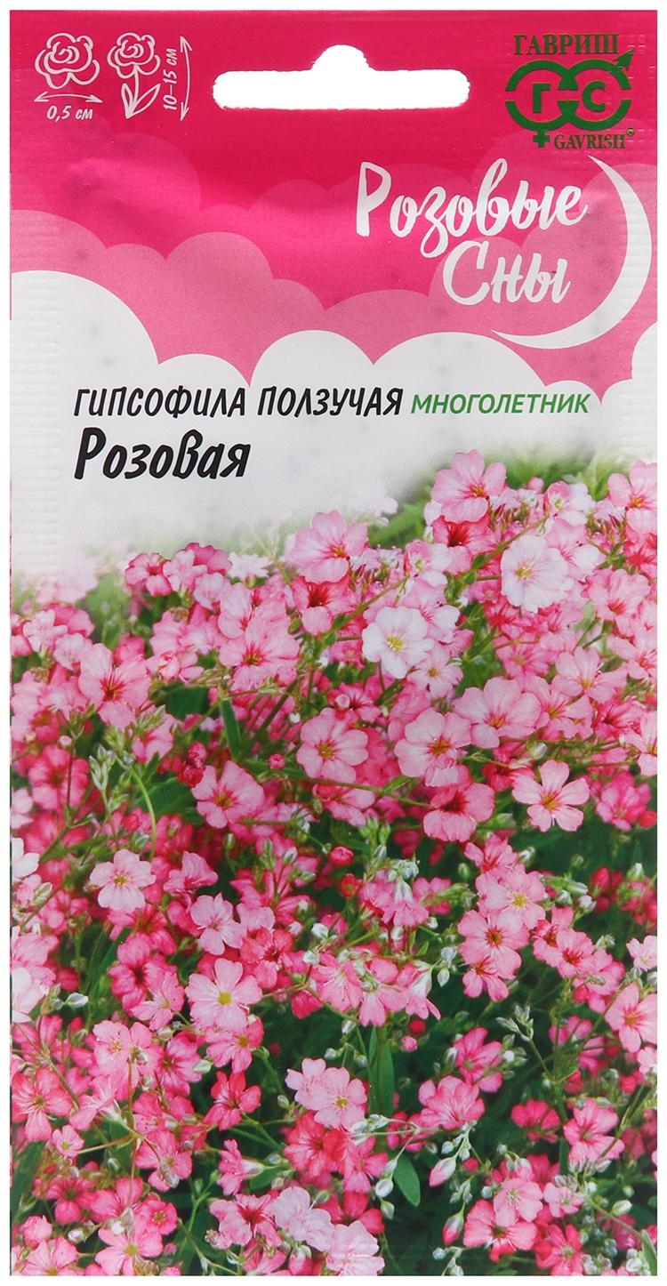 Семена Гипсофила 